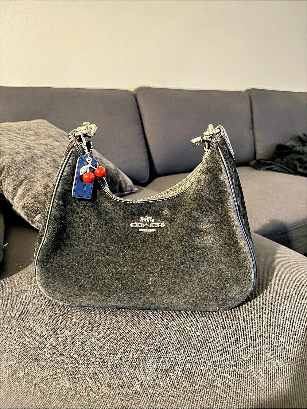 Coach Teri hobo sholder bag